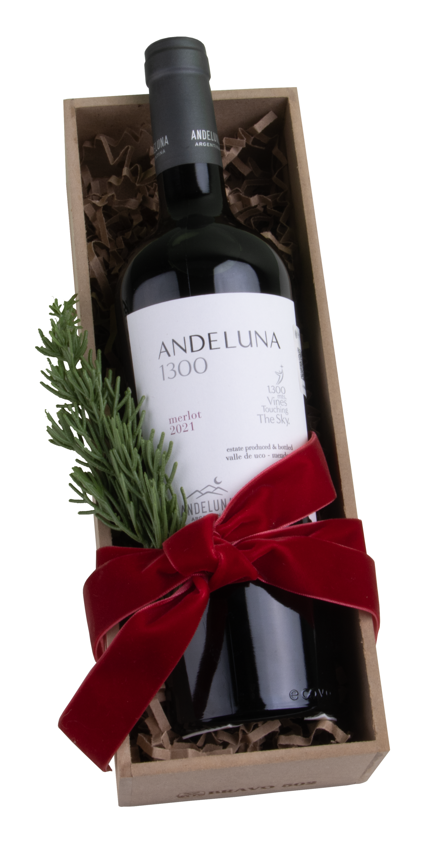 Regalo 6
