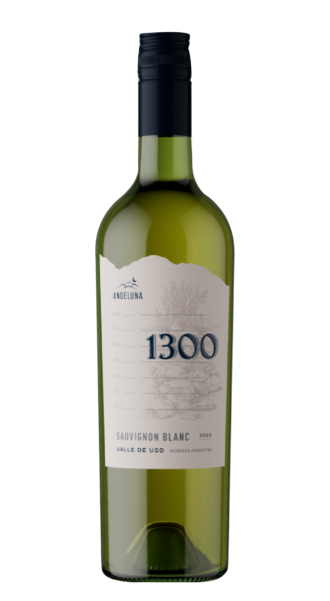 1300 Sauvignon Franc